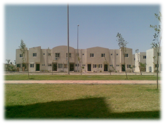 Villas project youth Zayed Gardens in Sheikh Zayed 